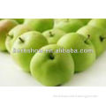 High Quality apple polyphenols